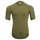 Silvini Ceno Jersey Olivgrön Medium Large Small X-Large XX-Large