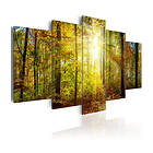 Arkiio Tavla Mystical Forest o. 200x100 A3-N4285-DKX