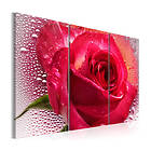 Arkiio Tavla Lady Rose Triptych 120x80