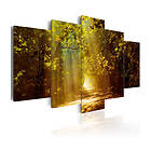 Arkiio Tavla Forest In The Sunlight 200x100