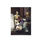 Star Wars Three Droids C3PO BB-8 254 184