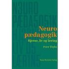 Neuropædagogik