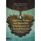 Applying Stems and Branches Acupuncture in Clinical Practice