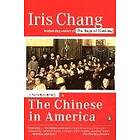 The Chinese in America