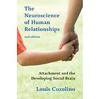 The Neuroscience of Human Relationships