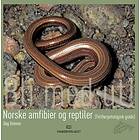 Norske amfibier og reptiler (feltherpetologisk guide)