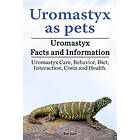 Uromastyx as Pets. Uromastyx Facts and Information. Uromastyx Care, Behavior, Diet, Interaction, Costs and Health.