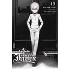 A Certain Magical Index, Vol. 15 (light novel)