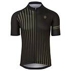 AGU Faded Stripe Essential Short Sleeve Jersey (Homme)