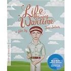 Life During Wartime - Criterion Collection (US) (Blu-ray)