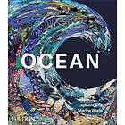 Ocean, Exploring the Marine World