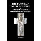 The Fountain Of Life Opened (Paperback)