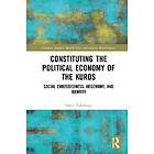 Constituting the Political Economy of the Kurds