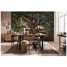 Komar mural Olive Photo Tree 368 254