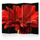 Arkiio Rumsavdelare Red Gerbera Flower II 225x172 cm