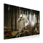 Arkiio A White Horse In The Midst Of Trees