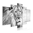 Arkiio Tavla The King Of Beasts 5 Wide 200x100