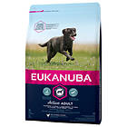 Eukanuba Active Adult Large 3kg