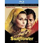Sunflower (US) (Blu-ray)