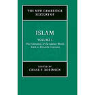 Chase F Robinson: The New Cambridge History of Islam