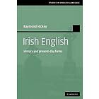 Raymond Hickey: Irish English