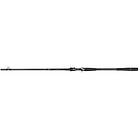 Daiwa Prorex AGS Baitcasting 7'7'' 5-25g Long Universal