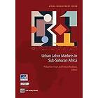 Philippe De Vreyer, Francois Roubaud: Urban Labor Markets in Sub-Saharan Africa