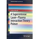 Andrea MacChi: A Superintense Laser-Plasma Interaction Theory Primer