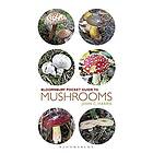 John C Harris: Pocket Guide to Mushrooms