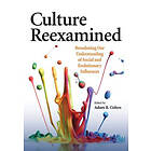 Adam B Cohen: Culture Reexamined