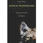 Stephen DeStefano: Coyote at the Kitchen Door