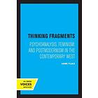 Jane Flax: Thinking Fragments