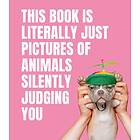 Smith Street Books: This Book is Literally Just Pictures of Animals Silently Judging You