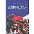 Alec G Hargreaves: Multi-Ethnic France