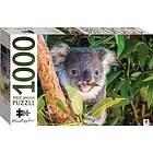 Koala Mindbogglers Puslespill Australia 1000 Brikker
