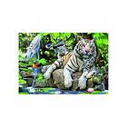 Educa Puslespill Bengal White Tigers 1000 Brikker