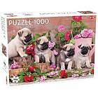 Tactic Pussel Puppy Pugs 1000 Bitar