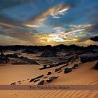 Perry Robinson - Two Voices In The Desert CD
