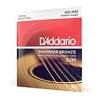 D'Addario EJ39