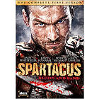 Spartacus: Blood and Sand - Season 1 (US) (DVD)