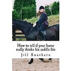 Jill Southern: How to tell if your horse really thinks his saddle fits: and how behaviour shows you it doesn't