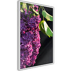 Artgeist Poster Affisch Colours of Spring A3-POprp1068l_brA