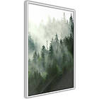 Artgeist Poster Affisch Coniferous Forest A3-POprp0308l_brA