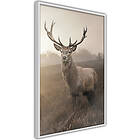Artgeist Poster Affisch Deer in Sepia A3-POprp0846l_brA