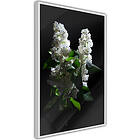 Artgeist Poster Affisch Lilacs at Night A3-POprp1070l_brA