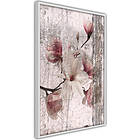 Artgeist Poster Affisch Memorial Magnolia A3-POprp0968l_brA