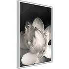 Artgeist Poster Affisch White Subtlety A3-POprp0755l_brA