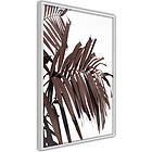 Artgeist Poster Affisch Warmed by the Sun A3-POprp1344l_brA