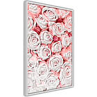 Artgeist Poster Affisch White Roses A3-POprp0885l_brA