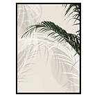 Gallerix Poster Abstract Palm Leaves No1 2638-21x30